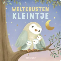 Little Dutch Boek - Welterusten Kleintje
