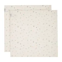 Witlof For Kids Magical Days Hydrofiel Doek - 65 x 65 cm - 2 Stuks