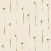 Studio Ditte Tapete – Gänseblümchen