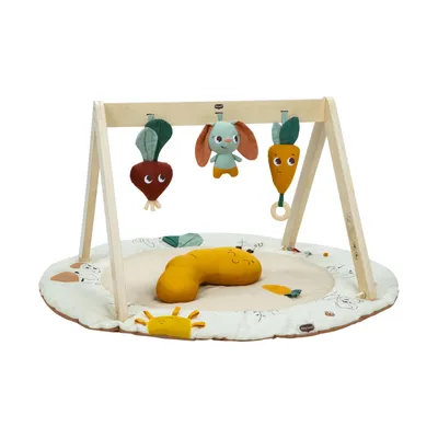 Tiny Love Luxe Gymini - Garden Of Adventures