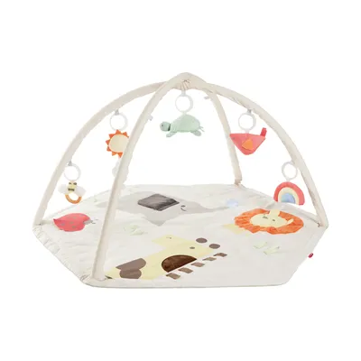 Skip Hop Babygym - Geometric Wonders