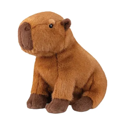 Aurora Borealis Capybara Kuscheltier- 28 cm