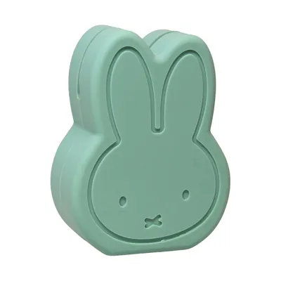 Atelier Pierre Miffy Aufbewahrungsbox- Mint - Small