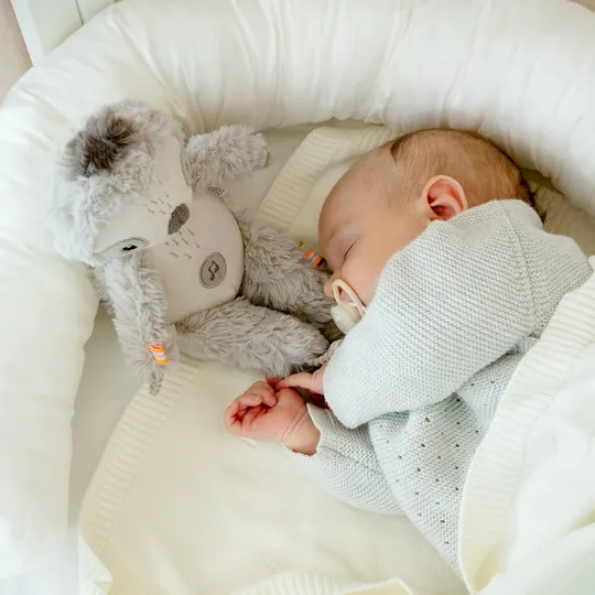 Fehn Knuffel met Geluid 