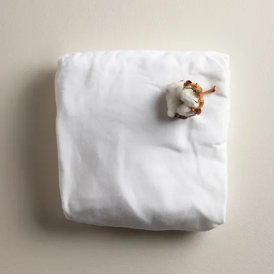 Sebra Jersey Hoeslaken - 70 x 120 cm - White