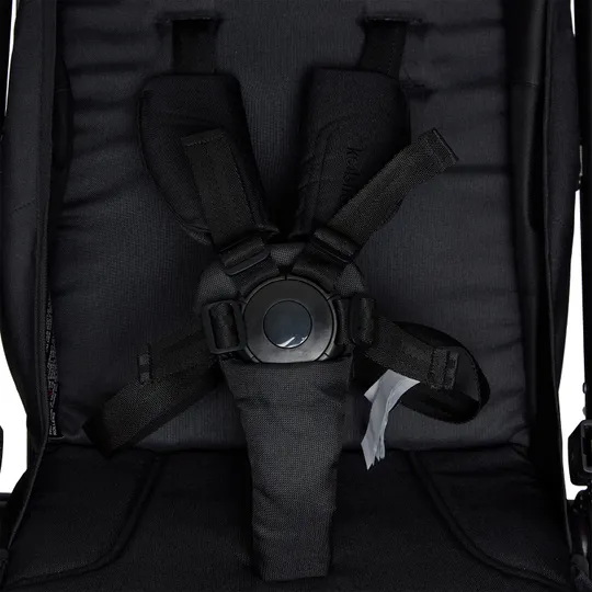 Koelstra Re-act Buggy