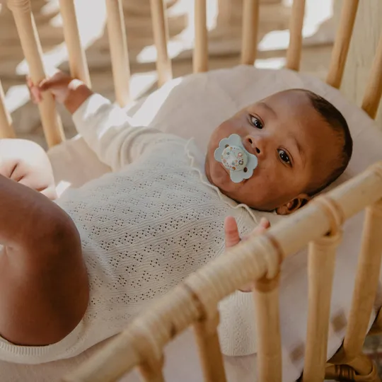 Suavinex Schnuller - SX Pro - Wonderland - 0-6 Monate - Silikon - Beige