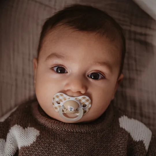 Suavinex Schnuller - Wild & Free SX Pro - 0‑6 Monate - 2 Stück - Silikon - Grau Glow In The Dark