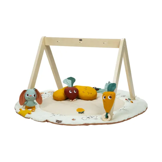 Tiny Love Luxe Gymini - Garden Of Adventures