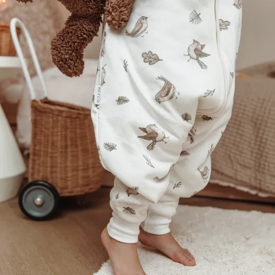 Meyco Baby Schlafsack Jumper Winter - Robin Multicolour - 80 cm