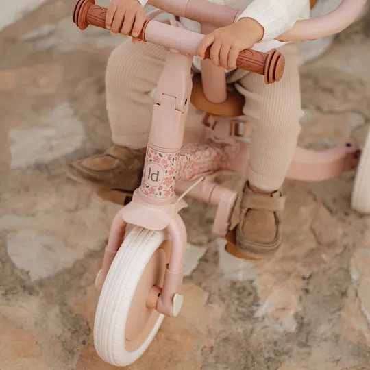 Little Dutch 4-in-1 Dreirad