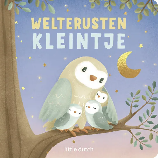 Little Dutch Boek - Welterusten Kleintje