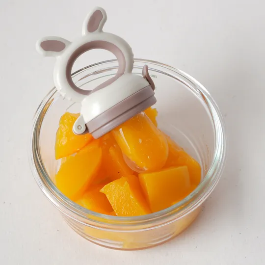 Bo Jungle Fruit Feeder 4-in-1