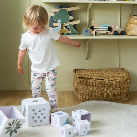 Jabadabado Stapeltoren Blokken - Dino 1-10