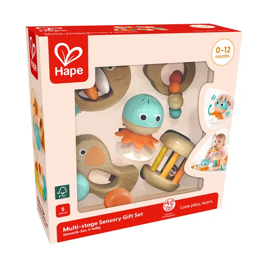 Hape Sensorische Cadeauset - Multi-stage Sensory