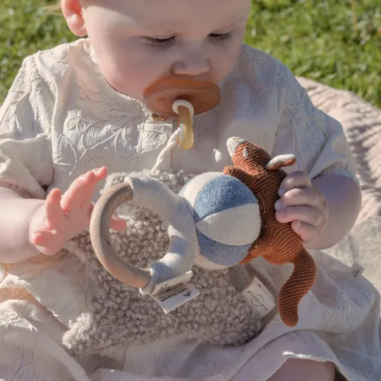 Baby Bello Rassel – Frey der Rotfuchs – Blueberry