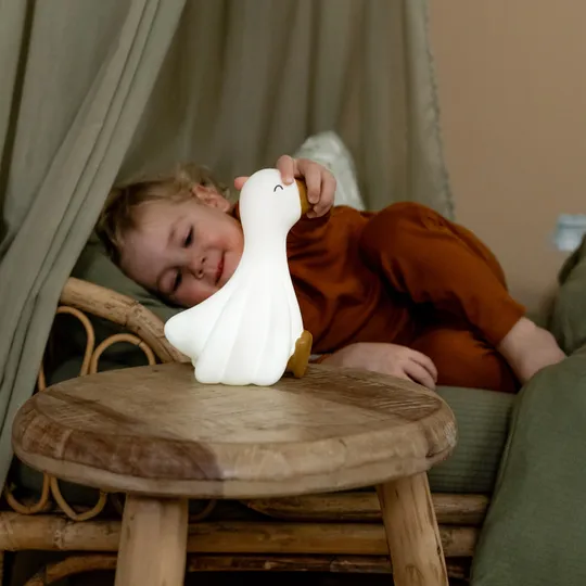 Little Dutch Little Goose Nachtlicht