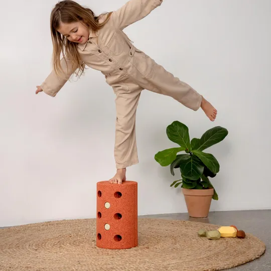 Modu Activity Toy Roller