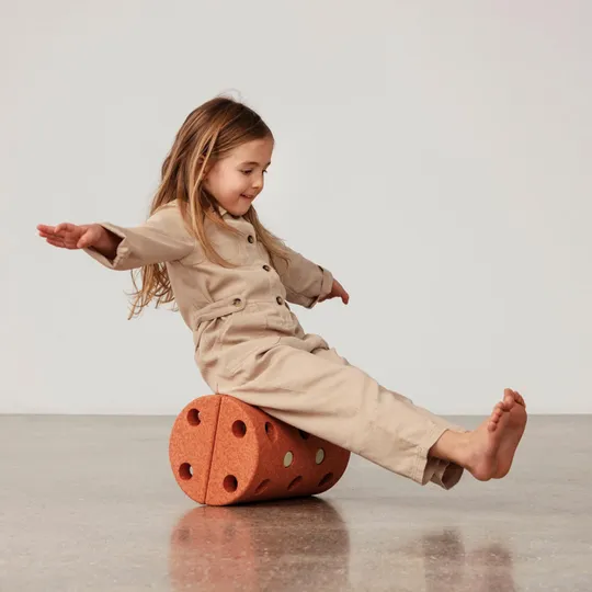 Modu Activity Toy Roller