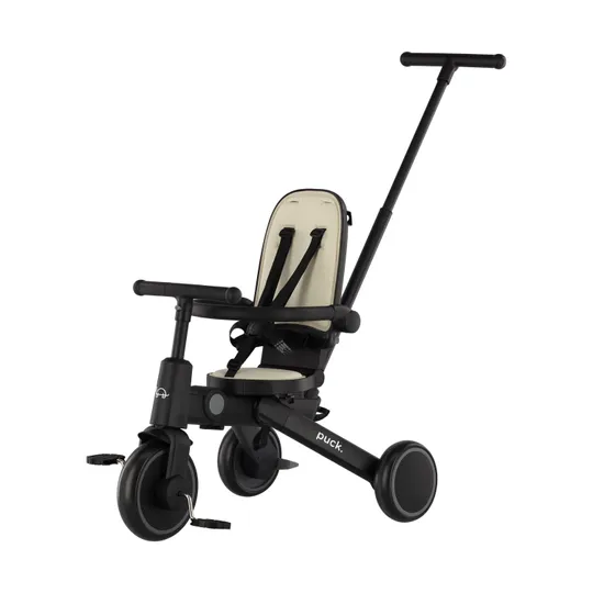 Puck Driewieler - Tricycle II