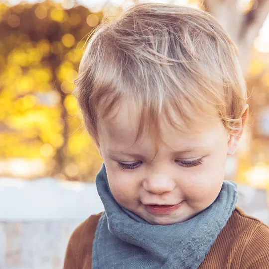 Sebra Muslin Drool Slab - 2 Stuks - Blue / Green