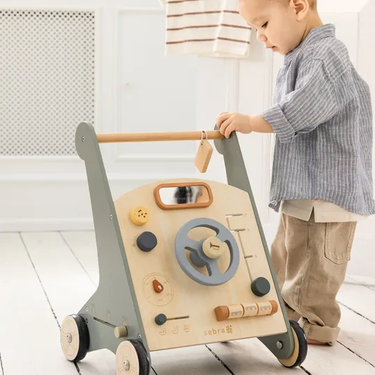 Sebra Houten Loopwagen - Blauw