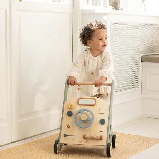 Sebra Houten Loopwagen - Blauw
