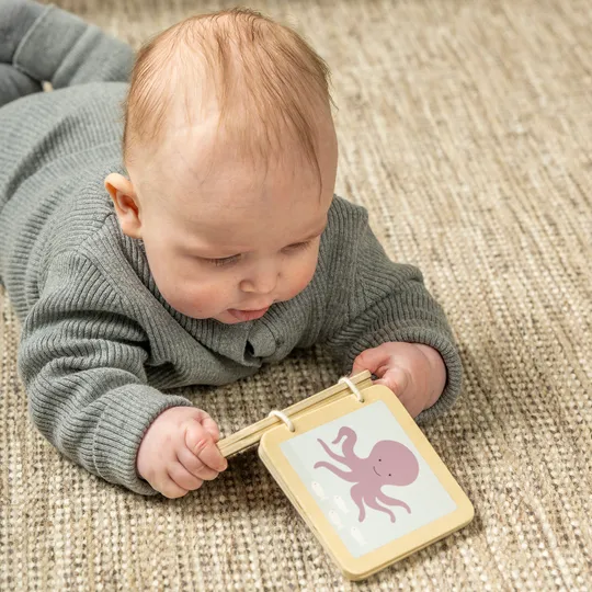 Jabadabado Spiel- und Lernbox – 6–12 Monate