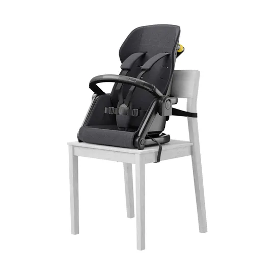 VEER Switchback &Jog Kinderwagen 2-in-1 - Dunkelgrau / Schwarz