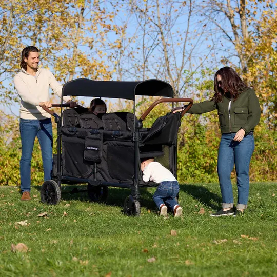 WonderFold W6 Luxe Pro Bolderkar - Zwart