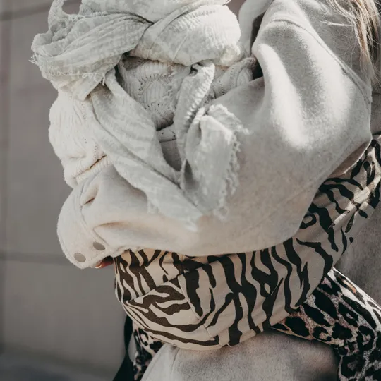 Wildride Zebra Kleinkindtrage 
