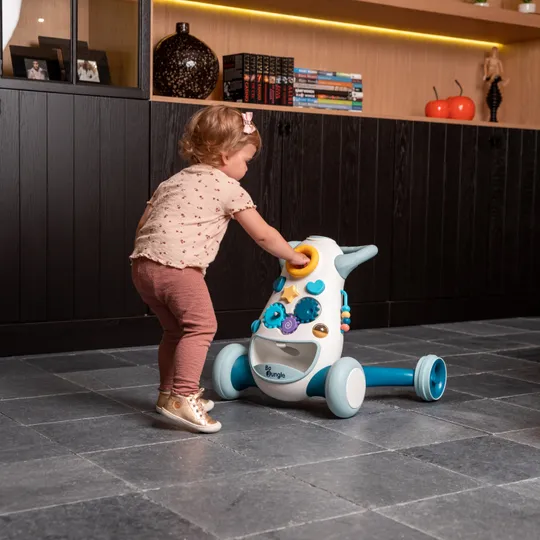 Bo Jungle Jumpy Lauflernwagen