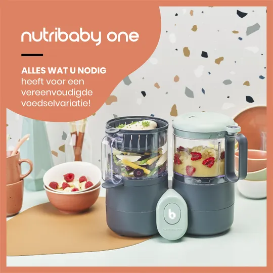 Babymoov Nutribaby One Food Processor