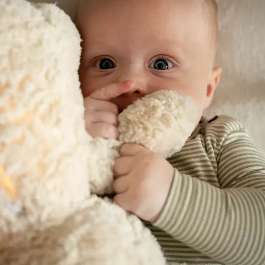 Baby's Only - Bo Knuffelbeer met Slaaptrainer