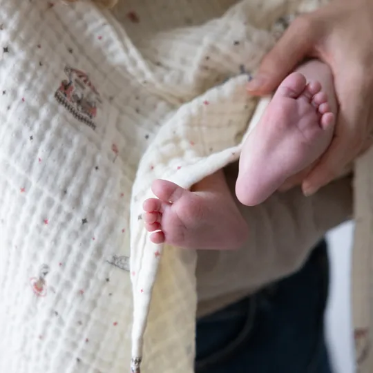 Cam Cam Hydrophile Babydecke - Carousel