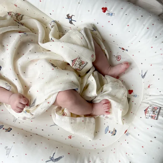 Cam Cam Carousel Swaddle