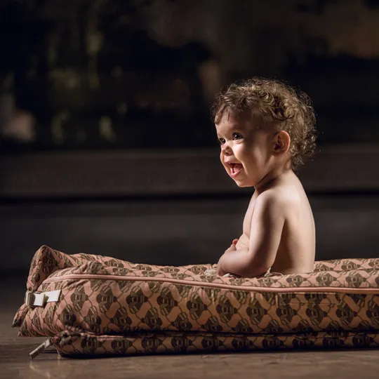 DockATot Deluxe+ Babynestje Busy Bees