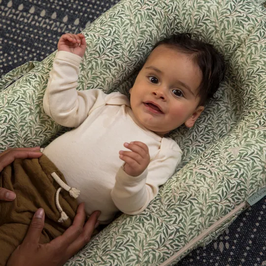 DockATot Deluxe+ Babynestchen Willow Boughs