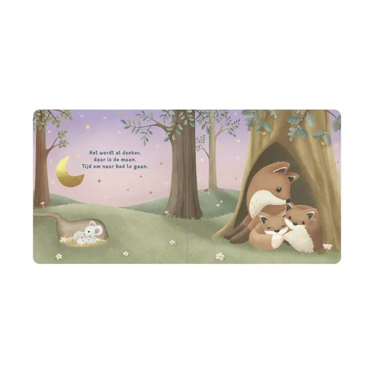 Little Dutch Boek - Welterusten Kleintje