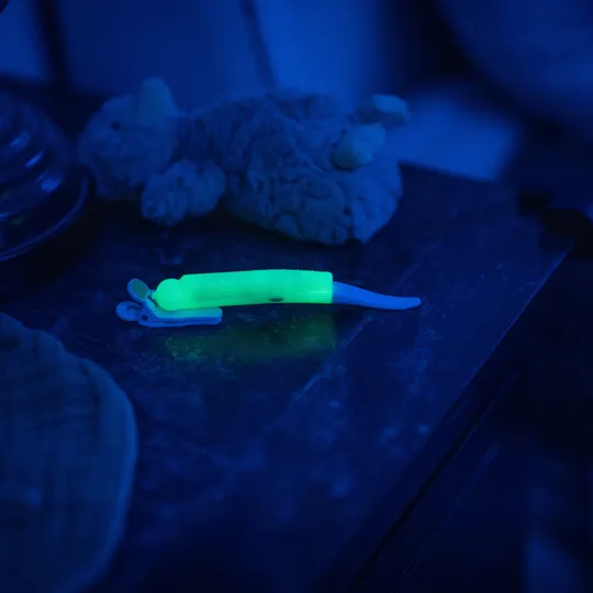 Latchlight Voedingslampje - Mint / White