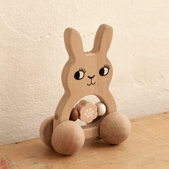 Roommate Bunny Holz Rassel