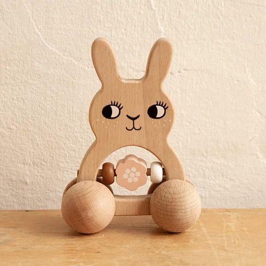 Roommate Bunny Holz Rassel