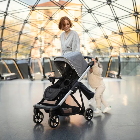 Thule Shine Kinderwagen 2-in-1 