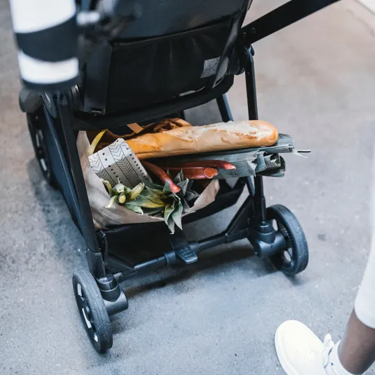 Thule Shine Kinderwagen 2-in-1 