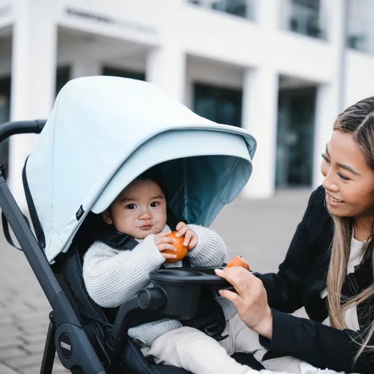 Thule Shine Kinderwagen 2-in-1 