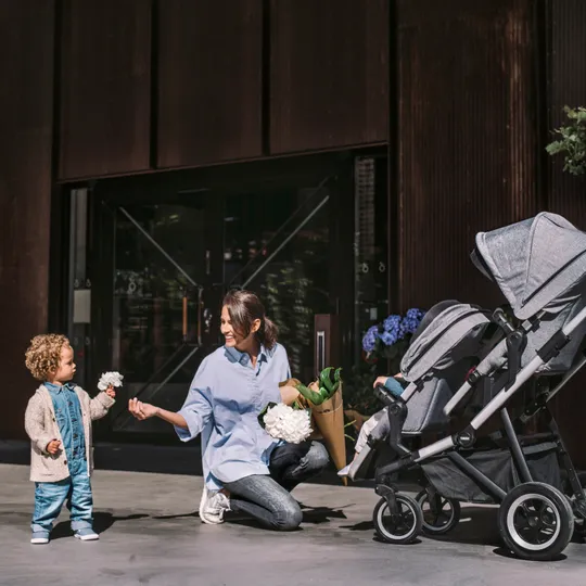 Thule Sleek Kinderwagen 