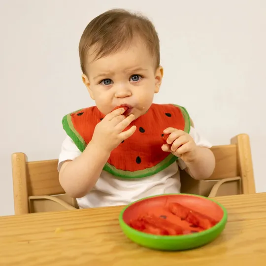 Oli & Carol Wally The Watermelon-Kale Bowl Set